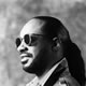 stevie wonder