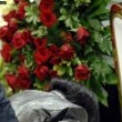 Funeral of James Brown.
