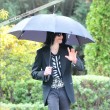 Leaving the Bel Air Hotel