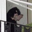 Michael fans from his balcony at the Hempel Hotel in Bayswater London.