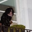 Michael fans from his balcony at the Hempel Hotel in Bayswater London.