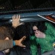 Michael in Victoria Palace Theatre - Londra, unde a vizionat muzicalul "Billy Elliot".