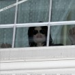 Michael Jackson a semnat autografe fanilor