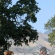 Michael Jackson arrives at the Santa Barbara County courthouse.