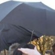 Michael Jackson attends zoo in Berlin