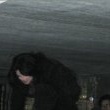 Michael Jackson in Londra.