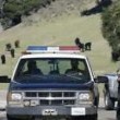 Neverland polices