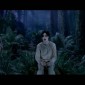 video michael jackson childhood