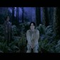 video michael jackson childhood